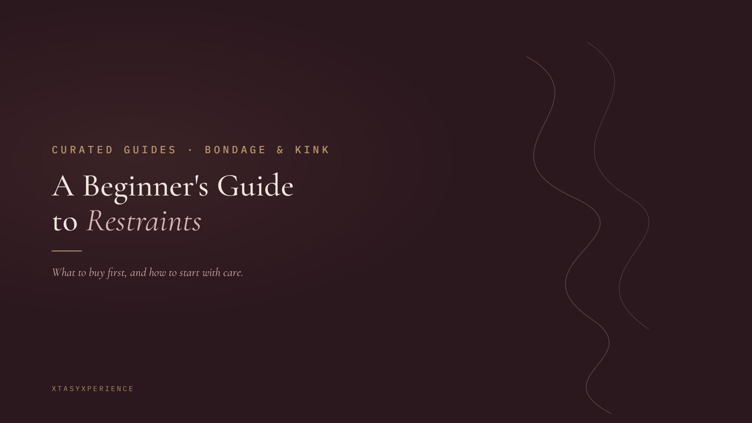 Abstract espresso and gold brand image for A Beginner's Guide to Restraints